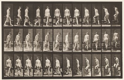 Kilpi 104. Kääntyvät ja nousevat portaat, ämpäri vettä kummassakin kädessä, 1872-1885 tekijältä Eadweard Muybridge