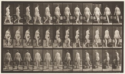 Levy 106. Kääntyminen portaiden nousuun, vesiämpäri kummassakin kädessä, 1872-1885 tekijältä Eadweard Muybridge