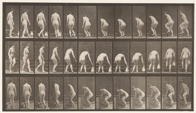 Levy 108. Kääntyminen portaiden nousuun, kumartuminen, kannun nostaminen, 1872-1885 tekijältä Eadweard Muybridge