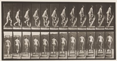 Levy 109. Nousevat tikkaat, 1872-1885 tekijältä Eadweard Muybridge
