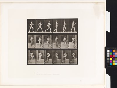 Lauta 10. Kävely tekijältä Eadweard Muybridge