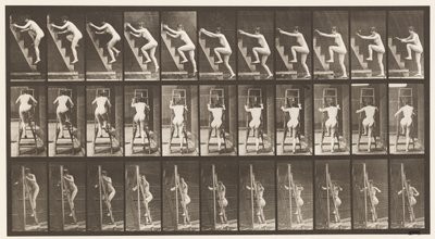 Levy 110. Nousevat tikkaat, kaksi askelta kerrallaan tekijältä Eadweard Muybridge