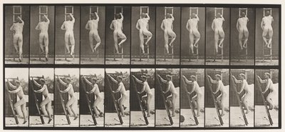 Levy 111. Nousevat tikkaat tekijältä Eadweard Muybridge