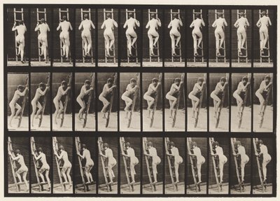 Levy 112. Nousevat tikkaat tekijältä Eadweard Muybridge
