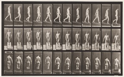Levy 114. Laskeva kaltevuus, kulma 1 in 4, 1872-1885 tekijältä Eadweard Muybridge