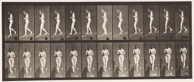Levy 115. Laskeva kaltevuus kädet ristissä edessä tekijältä Eadweard Muybridge