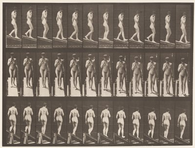 Levy 116. Laskeva kaltevuus, yksi käsi leualla tekijältä Eadweard Muybridge
