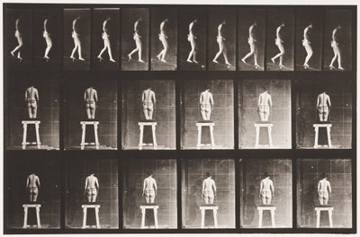 Levy 118. Laskeva kaltevuus tekijältä Eadweard Muybridge