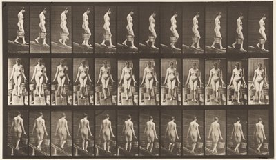 Levy 121. Laskeva kaltevuus, vesiämpäri kummassakin kädessä tekijältä Eadweard Muybridge