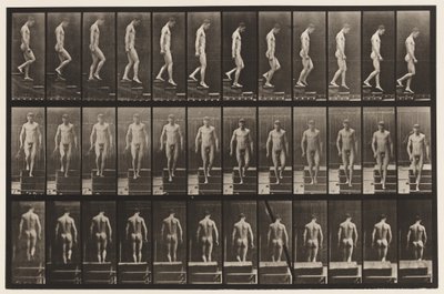 Levy 125. Laskevat portaat tekijältä Eadweard Muybridge