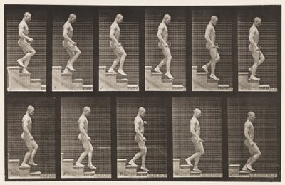 Levy 126. Laskevat portaat tekijältä Eadweard Muybridge