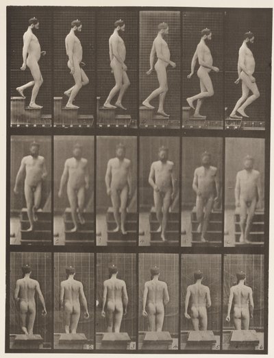 Levy 127. Laskevat portaat, 1872-1885 tekijältä Eadweard Muybridge