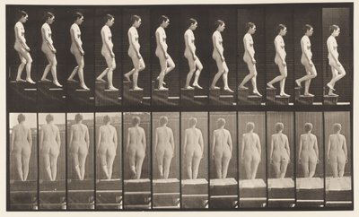Levy 129. Laskevat portaat, kädet ristissä tekijältä Eadweard Muybridge