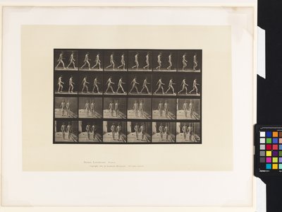 Lauta 12. Kävely tekijältä Eadweard Muybridge