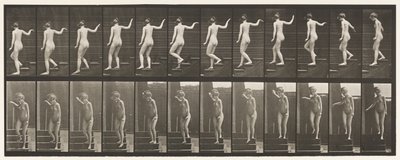 Levy 132. Laskeutuvat portaat, kääntyminen ympärilleen ja heiluttaa kättä tekijältä Eadweard Muybridge