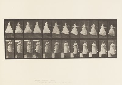 Lauta 134. Laskevat portaat, pesuallas käsissä tekijältä Eadweard Muybridge