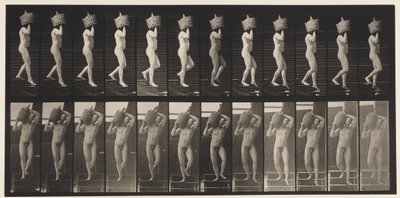 Levy 136. Laskevat portaat Full Demijohn olalla, 1872-1885 tekijältä Eadweard Muybridge