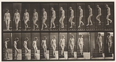 Levy 137. Laskeutuvat portaat, kääntyminen tekijältä Eadweard Muybridge