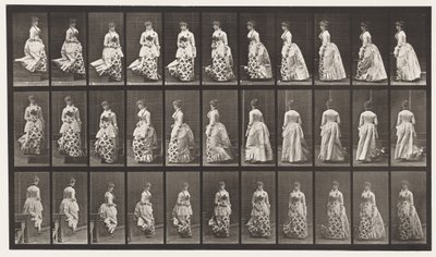 Levy 139. Alaspäin kääntyvät portaat, 1885 tekijältä Eadweard Muybridge