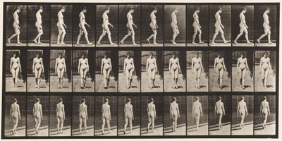 Levy 13. Kävely, 1872-1885 tekijältä Eadweard Muybridge