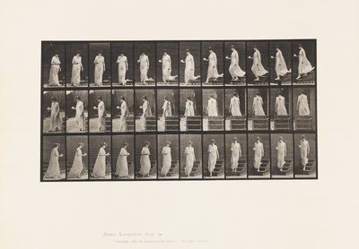 Lauta 143. Laskeva kaltevuus, kääntökuppi ja lautanen oikeassa kädessä tekijältä Eadweard Muybridge