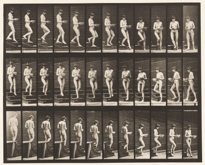 Levy 144. Laskevat portaat; Kääntöallas käsissä tekijältä Eadweard Muybridge