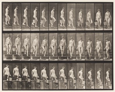 Levy 145. Laskevat portaat; Veden kääntäminen oikealla kädellä, 1872-1885 tekijältä Eadweard Muybridge