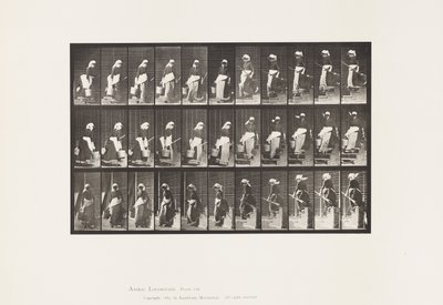 Levy 148. Laskeutuvat portaat, kääntyvä kantovesiämpäri tekijältä Eadweard Muybridge