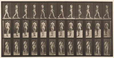 Levy 14. Kävely, oikea käsi leuassa, 1872-1885 tekijältä Eadweard Muybridge