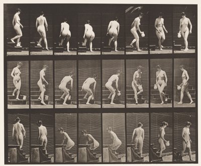Levy 150. Laskevat portaat; Kumartuva, nostava kannu, kääntyvä, 1872-1885 tekijältä Eadweard Muybridge