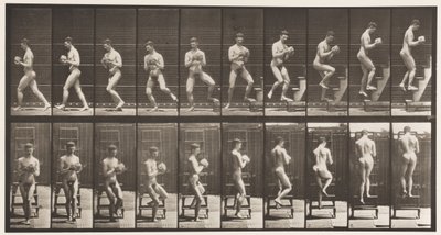 Levy 151. Laskevat tikkaat, kääntyminen, kivi käsissä, 1872-1885 tekijältä Eadweard Muybridge