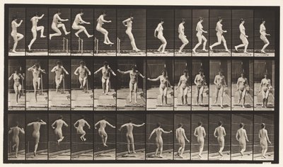 Levy 155. Hyppy, juoksu, suora korkeushyppy tekijältä Eadweard Muybridge