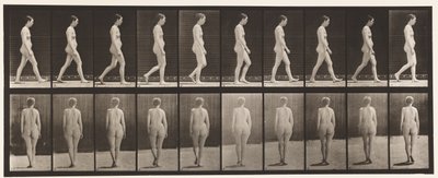 Lauta 15. Kävely tekijältä Eadweard Muybridge