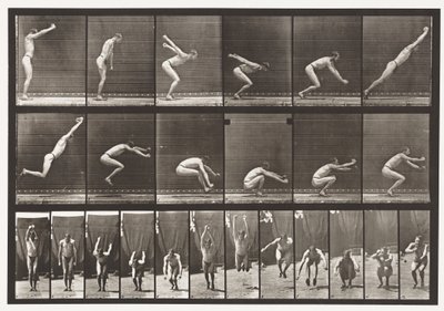 Levy 163. Hyppy; Pysyvä leveä hyppy, 1872-1885 tekijältä Eadweard Muybridge
