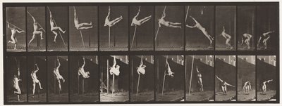 Levy 164. Hyppy; Seivähyppy, 1872-1885 tekijältä Eadweard Muybridge