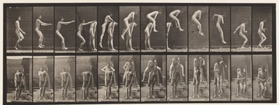 Levy 166. Hyppy; Miehen Selän yli tekijältä Eadweard Muybridge