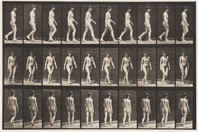 Levy 16. Kävely, 1872-1885 tekijältä Eadweard Muybridge