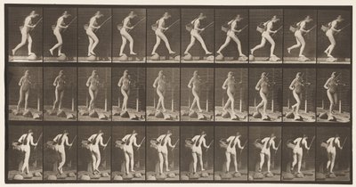 Kilpi 177. Crossing Brook on Stepstones kanssa kalastussauva & Basket tekijältä Eadweard Muybridge