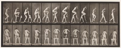 Levy 178. Pukkipukin päälle ja yli astuminen tekijältä Eadweard Muybridge