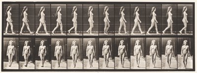 Levy 17. Kävely, 1872-1885 tekijältä Eadweard Muybridge