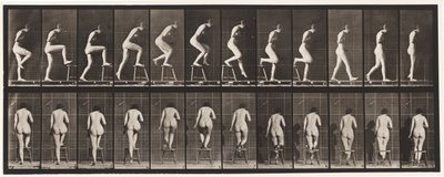 Lauta 180. Tuoliin astuminen ja sen yli tekijältä Eadweard Muybridge