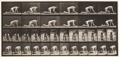 Levy 182. Ryömiä käsissä ja polvissa tekijältä Eadweard Muybridge