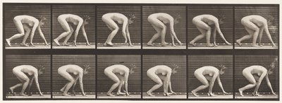 Levy 183. Kävely käsissä ja jaloissa tekijältä Eadweard Muybridge