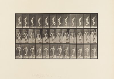 Levy 186. Hyppy oikealle jalalle, 1885 tekijältä Eadweard Muybridge