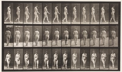 Levy 18. Kävely, vasen käsi poikki vatsan, 1872-1885 tekijältä Eadweard Muybridge