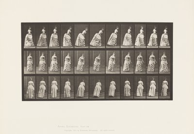 Levy 198. Ottelu, 1885 tekijältä Eadweard Muybridge
