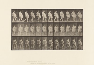 Levy 19. Kävely, alkaa kääntyä tekijältä Eadweard Muybridge