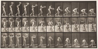 Lauta 201. 12-lb:n korin ottaminen päästä, laittaminen maahan, 1872-1885 tekijältä Eadweard Muybridge
