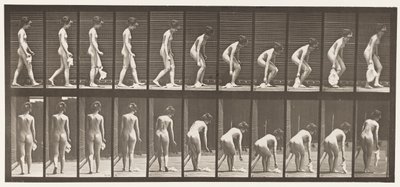 Lauta 202. Nenäliinan pudottaminen ja nostaminen tekijältä Eadweard Muybridge