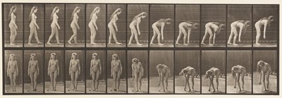 Lauta 204. Pysähtyminen poimimaan palloa tekijältä Eadweard Muybridge